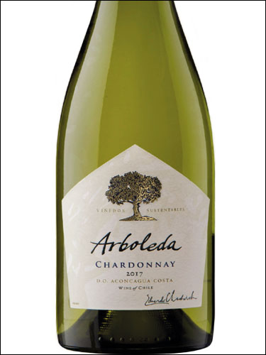 фото Arboleda Chardonnay Aconcagua Costa DO Арболеда Шардоне Аконкагуа Коста Чили вино белое