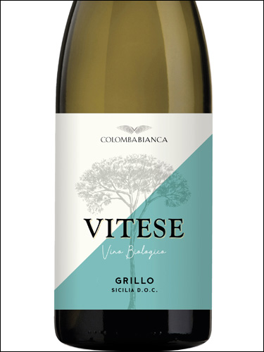 фото Colomba Bianca Vitese Grillo Sicilia DOC Коломба Бьянка Витезе Грилло Сицилия Италия вино белое