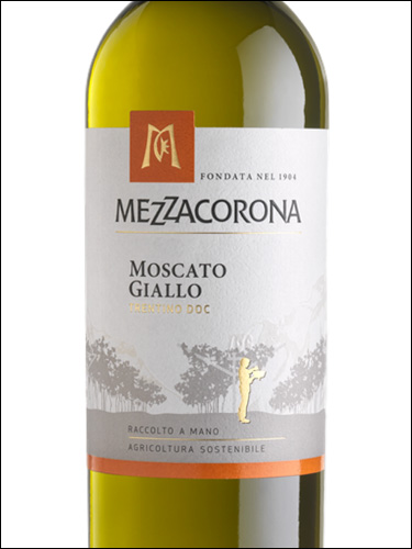фото Mezzacorona Moscato Giallo Trentino DOC Меццакорона Москато Джалло Трентино Италия вино белое