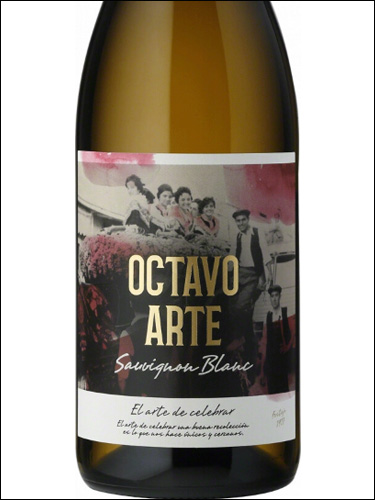 фото вино Virgen de las Vinas Octavo Arte Sauvignon Blanc 
