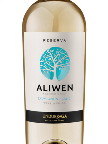 фото Undurraga Aliwen Reserva Sauvignon Blanc Ундуррага Аливен Резерва Совиньон Блан Чили вино белое