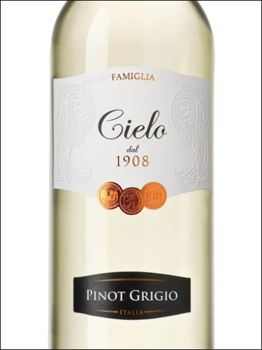 фото Cielo Pinot Grigio delle Venezie IGT Чело Пино Гриджо делле Венецие ИГТ Италия вино белое