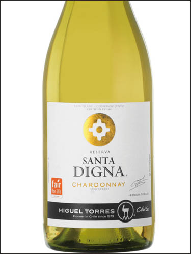 фото Miguel Torres Santa Digna Chardonnay Reserva Мигель Торрес Санта Дигна Шардоне Резерва Чили вино белое