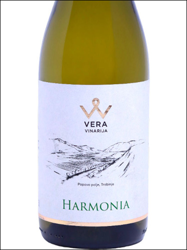 фото Vera Vinarija Harmonia Вера Винария Гармония Босния и Герцеговина вино белое