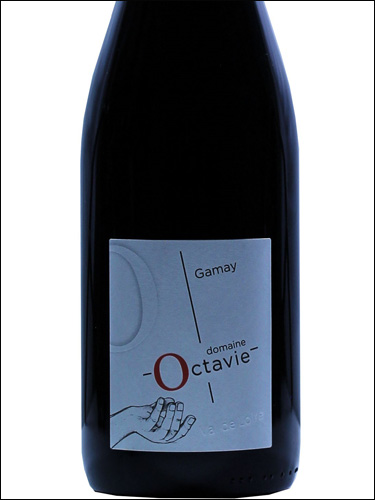 фото Domaine Octavie Gamay Touraine Rouge AOC Домен Октави Гаме Турень Руж Франция вино красное