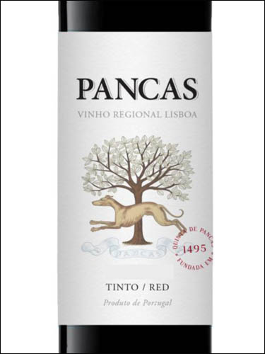 фото Pancas Tinto Vinho Regional Lisboa Панкас Тинту ВР Лиссабон Португалия вино красное