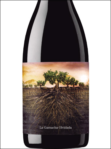 фото вино La Garnacha Olvidada de Aragon Calatayud DO 
