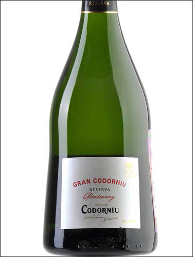 фото Cava Codorniu Gran Codorniu Reserva Chardonnay Кава Кодорнью Гран Кодорнью Ресерва Шардоне Испания вино белое
