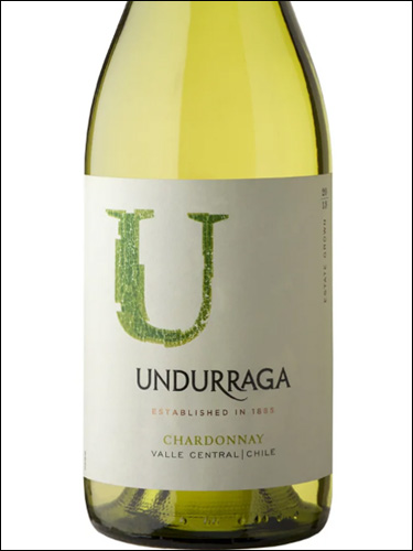 фото Undurraga Chardonnay Ундуррага Шардоне Чили вино белое