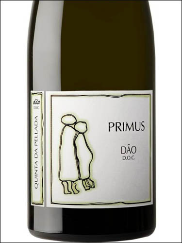 фото Quinta da Pellada Primus Dao DOC Кинта да Пеллада Примус Дан ДОК Португалия вино белое