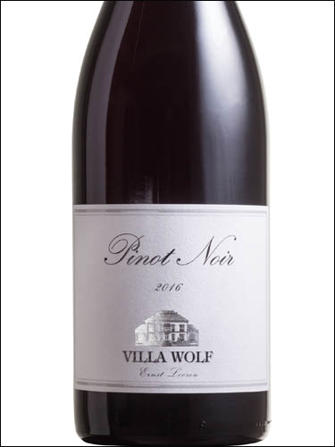фото Villa Wolf Pinot Noir Pfalz Вилла Вольф Пино Нуар Германия вино красное