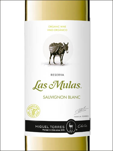 фото Miguel Torres Las Mulas Reserva Sauvignon Blanc Valle Central DO Мигель Торрес Лас Мулас Ресерва Совиньон Блан Центральная Долина Чили вино белое