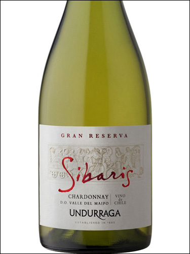 фото Undurraga Sibaris Gran Reserva Chardonnay Ундуррага Сибарис Гран Резерва Шардоне Чили вино белое