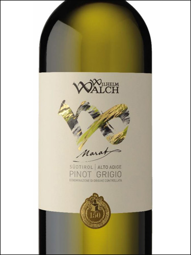 фото Wilhelm Walch Pinot Grigio Marat Alto Adige DOC Вильгельм Вальх Пино Гриджио Марат Альто Адидже Италия вино белое