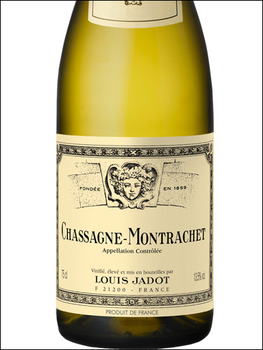 фото Louis Jadot Chassagne-Montrachet AOC Луи Жадо Шассань-Монраше Франция вино белое