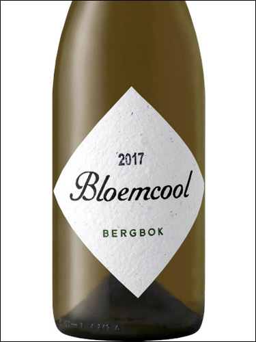 фото Bloemcool Bergbok Bloemcool Bergbok ЮАР вино белое