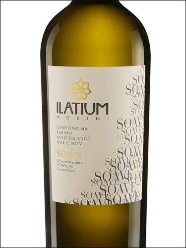 фото Latium Morini Soave DOC Латиум Морини Соаве Италия вино белое