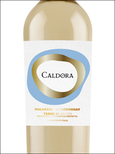 фото Caldora Malvasia - Chardonnay Terre di Chietti IGP Кальдора Мальвазия - Шардоне Терре ди Кьети Италия вино белое