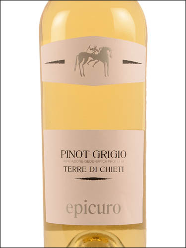 фото Epicuro Pinot Grigio Terre di Chieti IGP Эпикуро Пино Гриджио Терре ди Кьети ИГП Италия вино белое