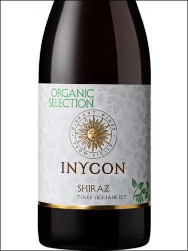 фото Inycon Organic Selection Shiraz Terre Siciliane IGT Иникон Органик Селекшн Шираз Терре Сичилиане Италия вино красное