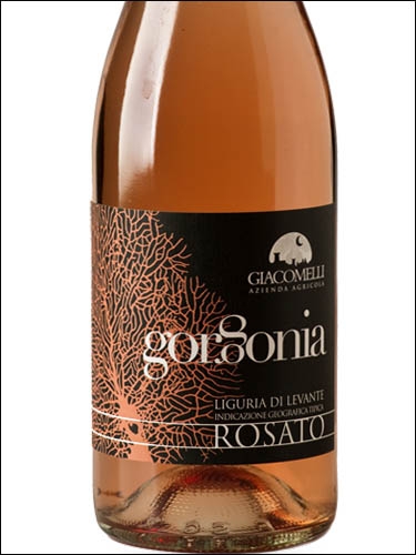 фото Giacomelli Gorgonia Rosato Liguria di Levante IGT Джакомелли Горгония Розато Лигурия ди Леванте Италия вино розовое