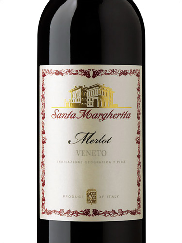 фото Santa Margherita Merlot Veneto IGT Санта Маргарита Мерло Венето Италия вино красное