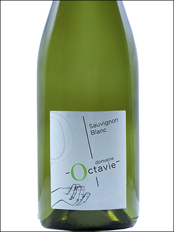 фото Domaine Octavie Touraine Sauvignon AOC Домен Октави Турень Совиньон Франция вино белое