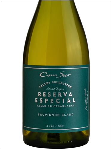 фото Cono Sur Reserva Especial Sauvignon Blanc Коно Сур Резерва Эспесьяль Совиньон Блан Чили вино белое