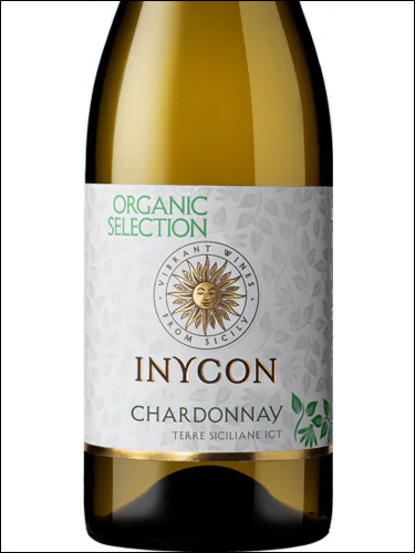 фото Inycon Organic Selection Chardonnay Terre Siciliane IGT Иникон Органик Селекшн Шардоне Терре Сичилиане Италия вино белое