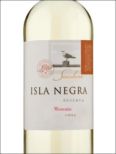 фото Isla Negra Seashore Moscato Исла Негра Сишор Москато Чили вино белое