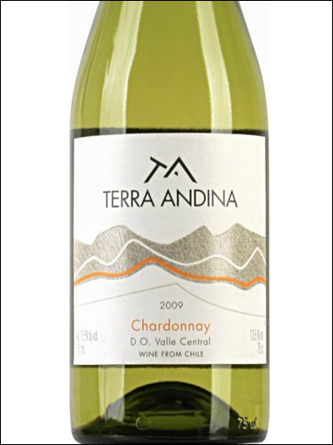 фото Terra Andina Chardonnay Valle Central DO Терра Андина Шардоне Центральная Долина Чили вино белое