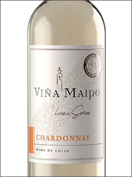 фото Vina Maipo Classic Series Chardonnay Винья Майпо Классик Сериес Шардоне Чили вино белое