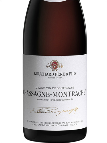 фото Bouchard Pere & Fils Chassagne-Montrachet Rouge AOC Бушар Пэр э Фис Шассань-Монраше Руж Франция вино красное