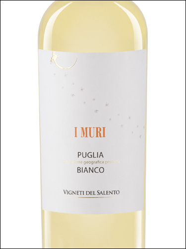 фото Vigneti del Salento I Muri Bianco Puglia IGP Виньети дель Саленто И Мури Бьянко Апулия Италия вино белое