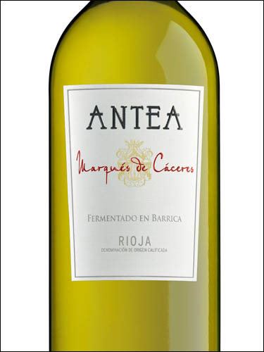 фото вино Marques de Caceres Antea Blanco Fermentado Barrica Rioja DOC 