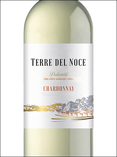фото Mezzacorona Terre del Noce Chardonnay Dolomiti IGT Меццакорона Терре дель Ноче Шардоне Доломити Италия вино белое