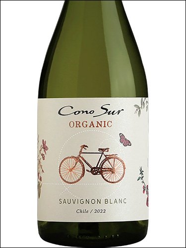 фото Cono Sur Organic Sauvignon Blanc Коно Сур Органик Совиньон Блан Чили вино белое