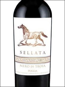 фото Sellata Nero di Troia Puglia IGP Селлата Неро ди Троя Апулия Италия вино красное