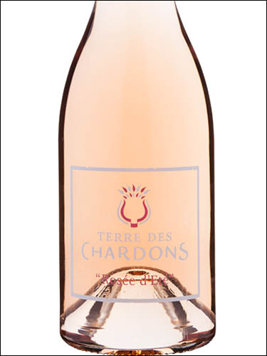 фото Terre des Chardons Rosee d'Ete Costieres de Nimes AOP Терр де Шардон Розе д'Ете Костьер-де-Ним Франция вино розовое