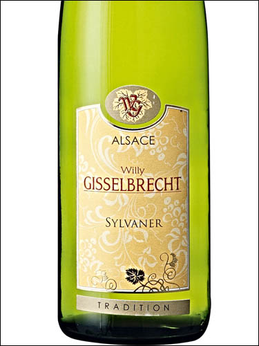 фото Willy Gisselbrecht Silvaner Tradition Alsace AOC Вилли Жиссельбрешт Сильванер Традисьон Эльзас Франция вино белое