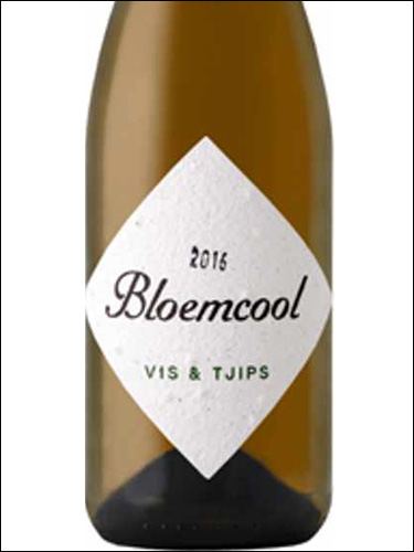 фото Bloemcool Vis & Tjips Блумкол Вис & Чипс ЮАР вино белое
