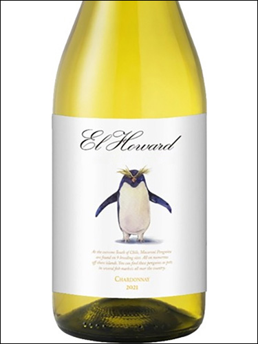 фото El Howard Chardonnay Эль Ховард Шардоне Чили вино белое
