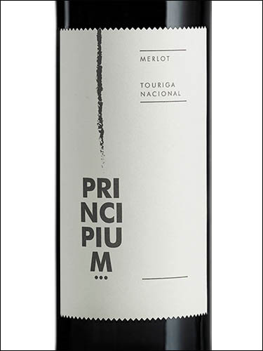 фото Principium Merlot Touriga Nacional Lisboa IGP Принчипиум Мерло турига Насьонал ВР Лиссабон Португалия вино красное