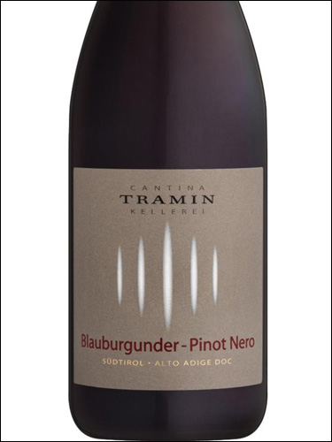 фото Tramin Blauburgunder-Pinot Nero Alto Adige DOC Трамин Блаубургундер-Пино Неро Альто Адидже Италия вино красное