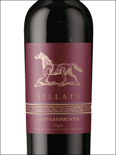 фото Sellata Appassimento Puglia IGP Селлата Аппассименто Апулия Италия вино красное