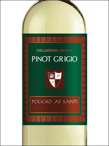 фото Poggio Ai Santi Pinot Grigio Veneto IGP Поджио Ай Санти Пино Гриджио Венето Италия вино белое