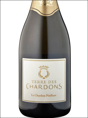 фото Terre des Chardons Le Chardon Petillant Mousseux non-dose Терр де Шардон Ле Шардон Петийан Муссо нон-дозаж Франция вино белое