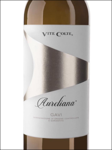 фото Vite Colte Aureliana Gavi DOCG Вите Кольте Аурелиана Гави Италия вино белое
