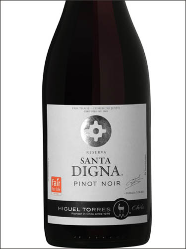 фото Miguel Torres Santa Digna Pinot Noir Reserva Мигель Торрес Санта Дигна Пино Нуар Резерва Чили вино красное