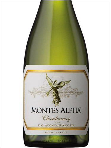 фото Montes Alpha Chardonnay Aconcagua Costa DO Монтес Альфа Шардоне Аконкагуа Коста Чили вино белое